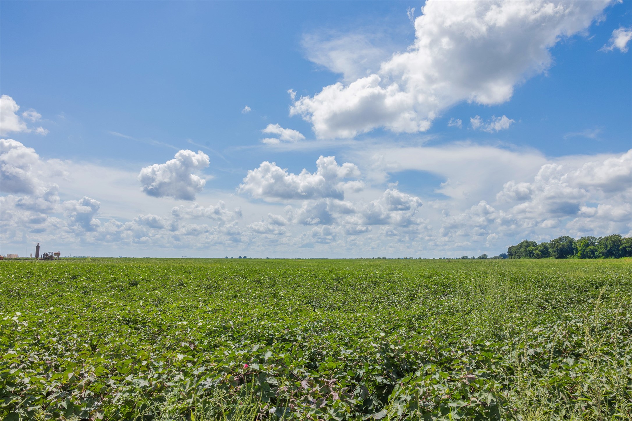 0 Fm 50 Somerville, TX 77879 - Photo 4 of 38 a view of a lake with beach