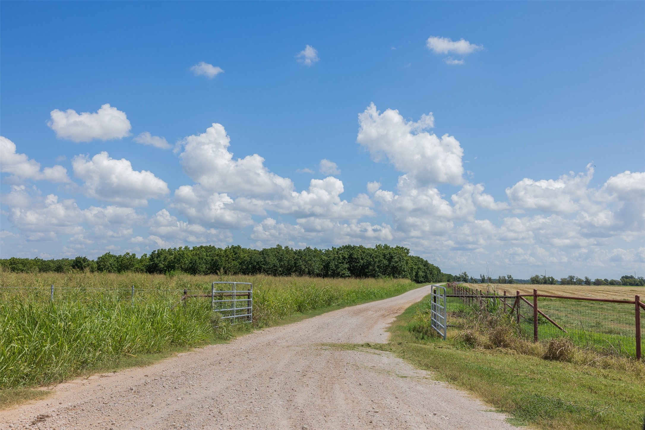0 Fm 50 Somerville, TX 77879 - Photo 7 of 38 a view of a lake and a yard