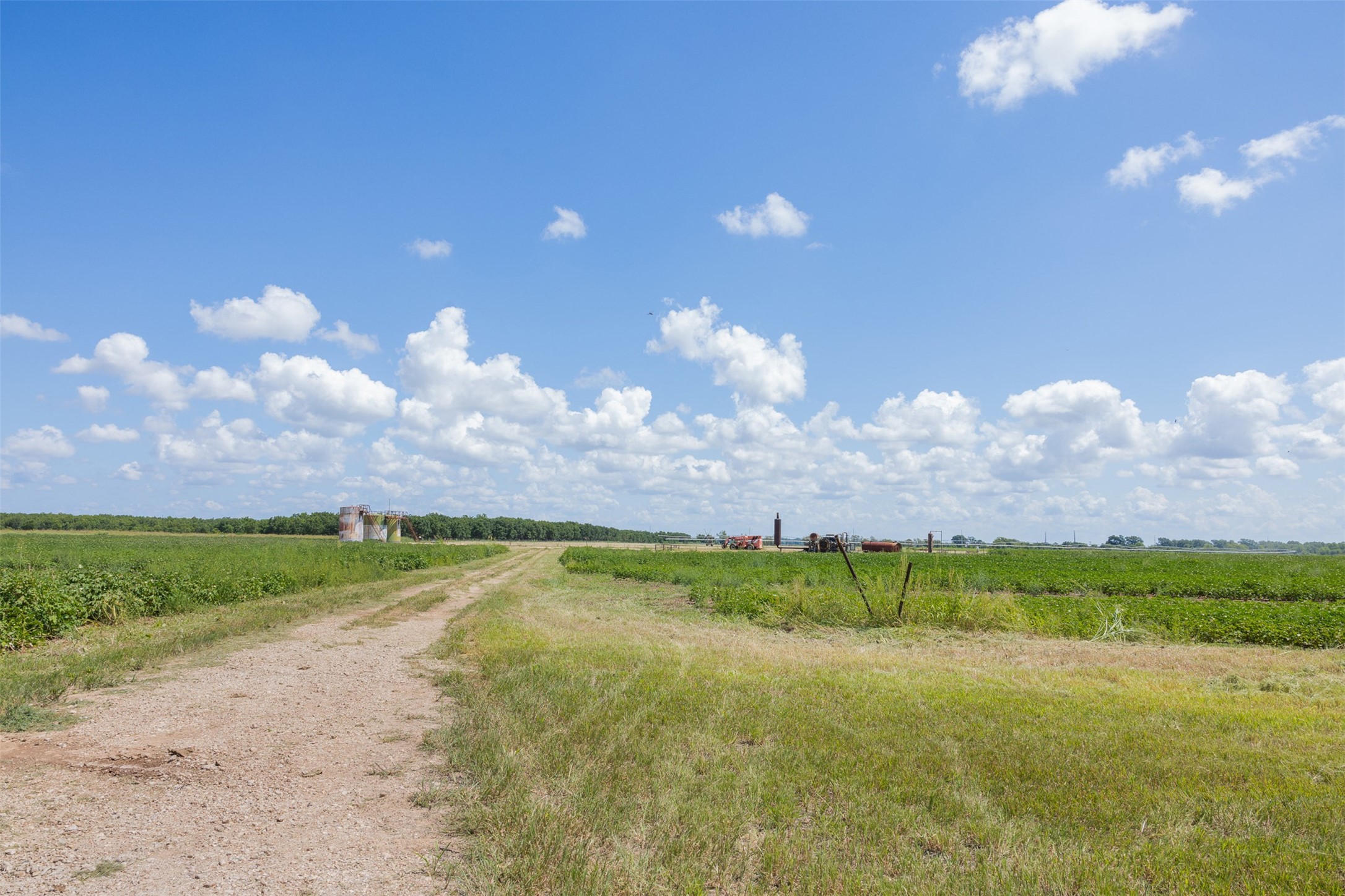 0 Fm 50 Somerville, TX 77879 - Photo 8 of 38 a view of an outdoor space and yard