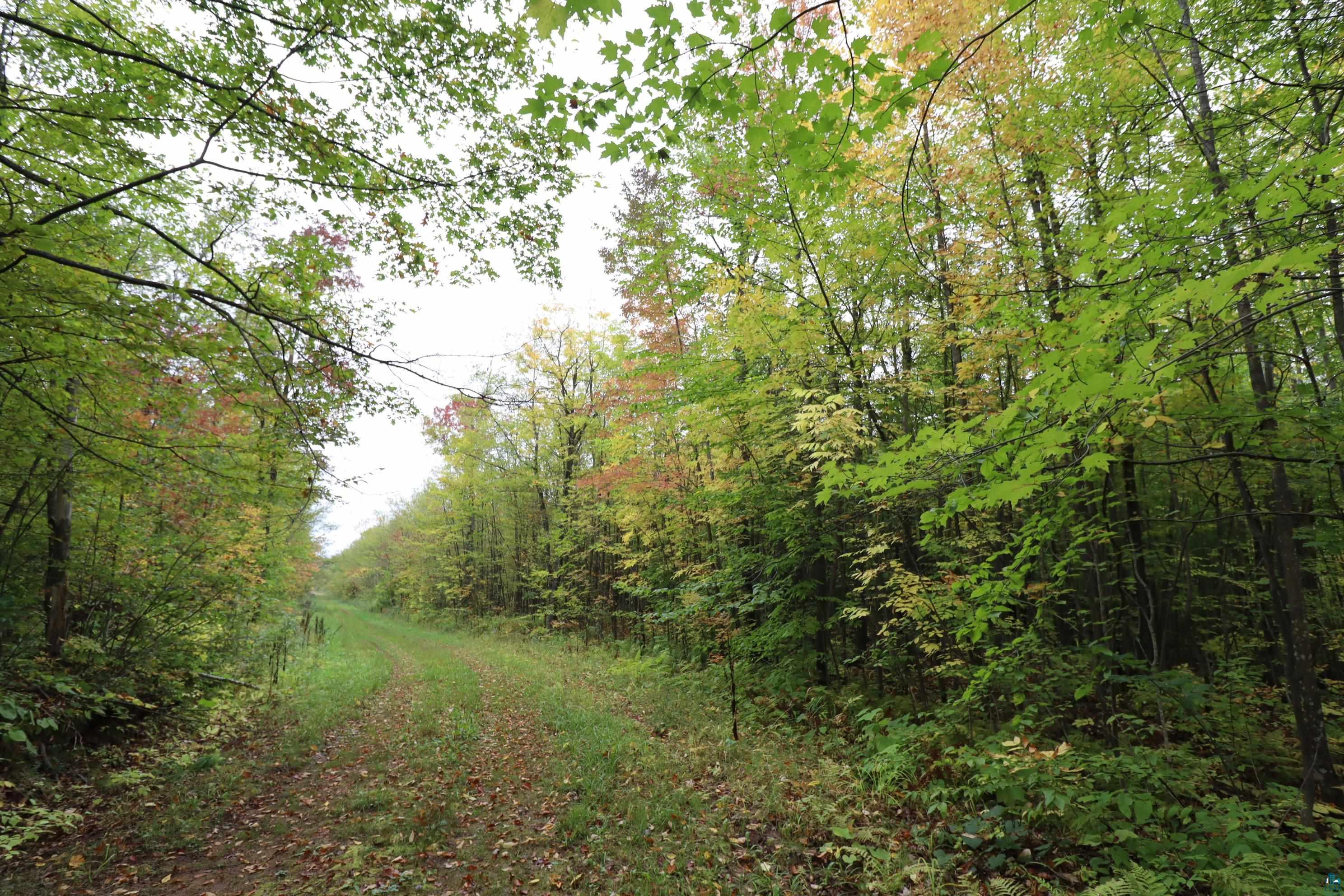 90-xxx Holt Road Bayfield, WI 54814 - Photo 1 of 9 Gallery Image 1