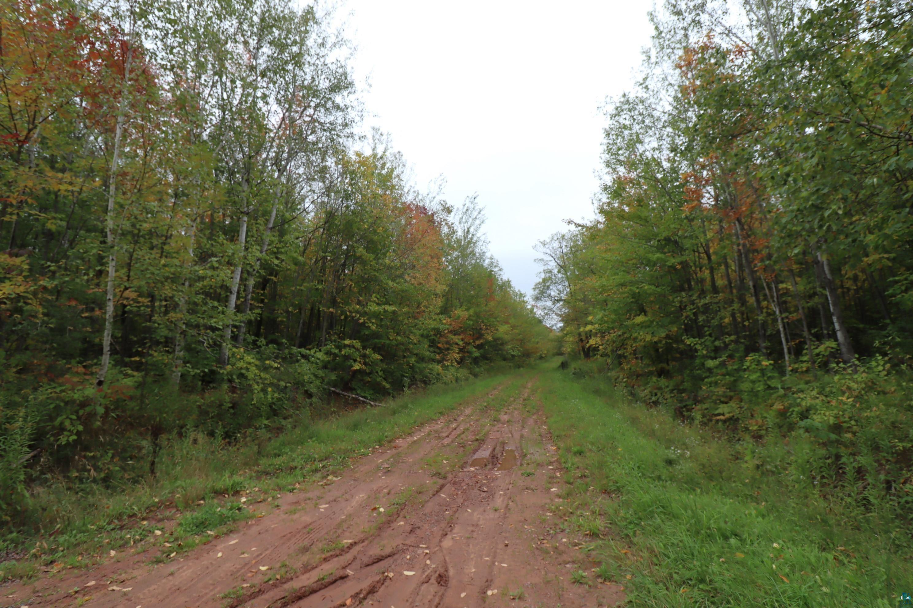 90-xxx Holt Road Bayfield, WI 54814 - Photo 4 of 9 Gallery Image 4