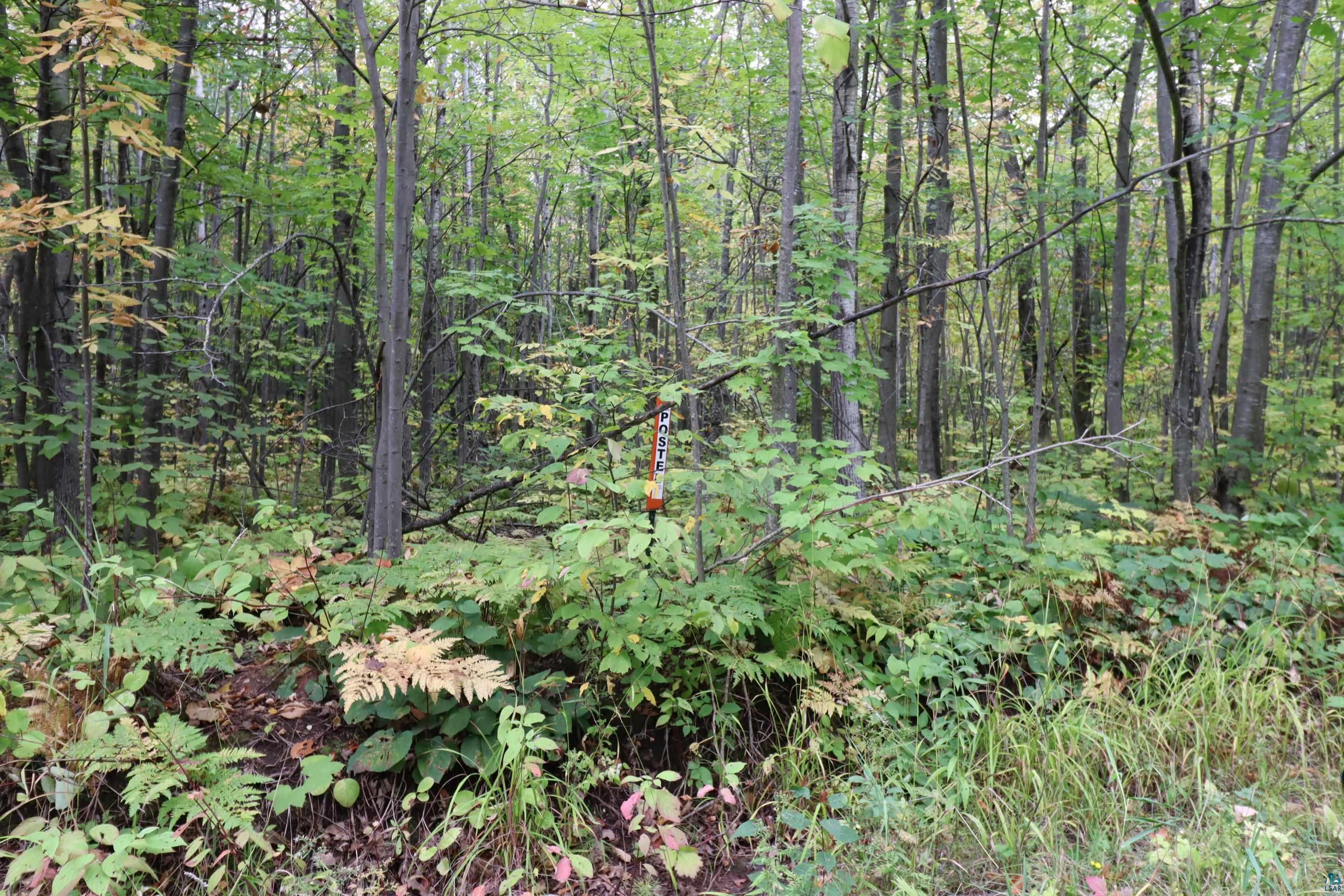 90-xxx Holt Road Bayfield, WI 54814 - Photo 5 of 9 Gallery Image 5