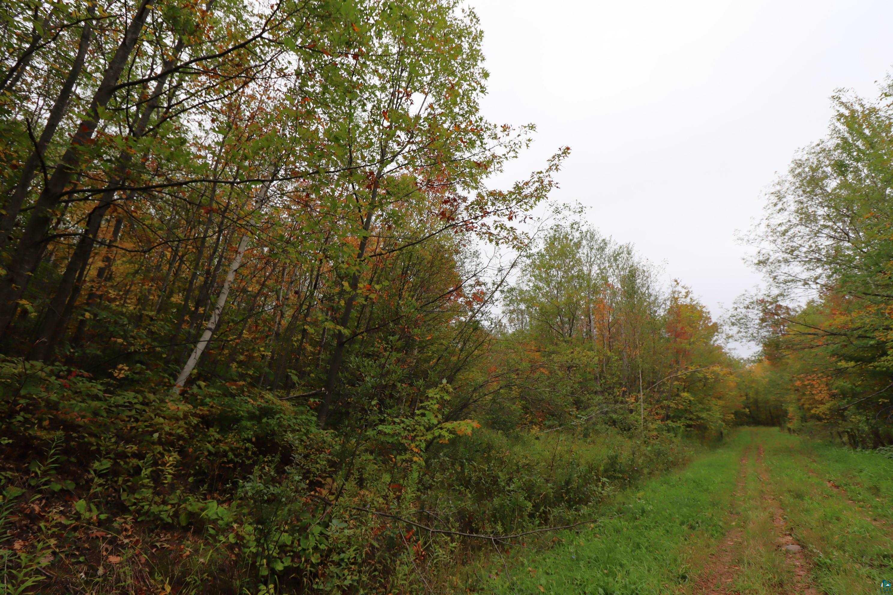 90-xxx Holt Road Bayfield, WI 54814 - Photo 6 of 9 Gallery Image 6