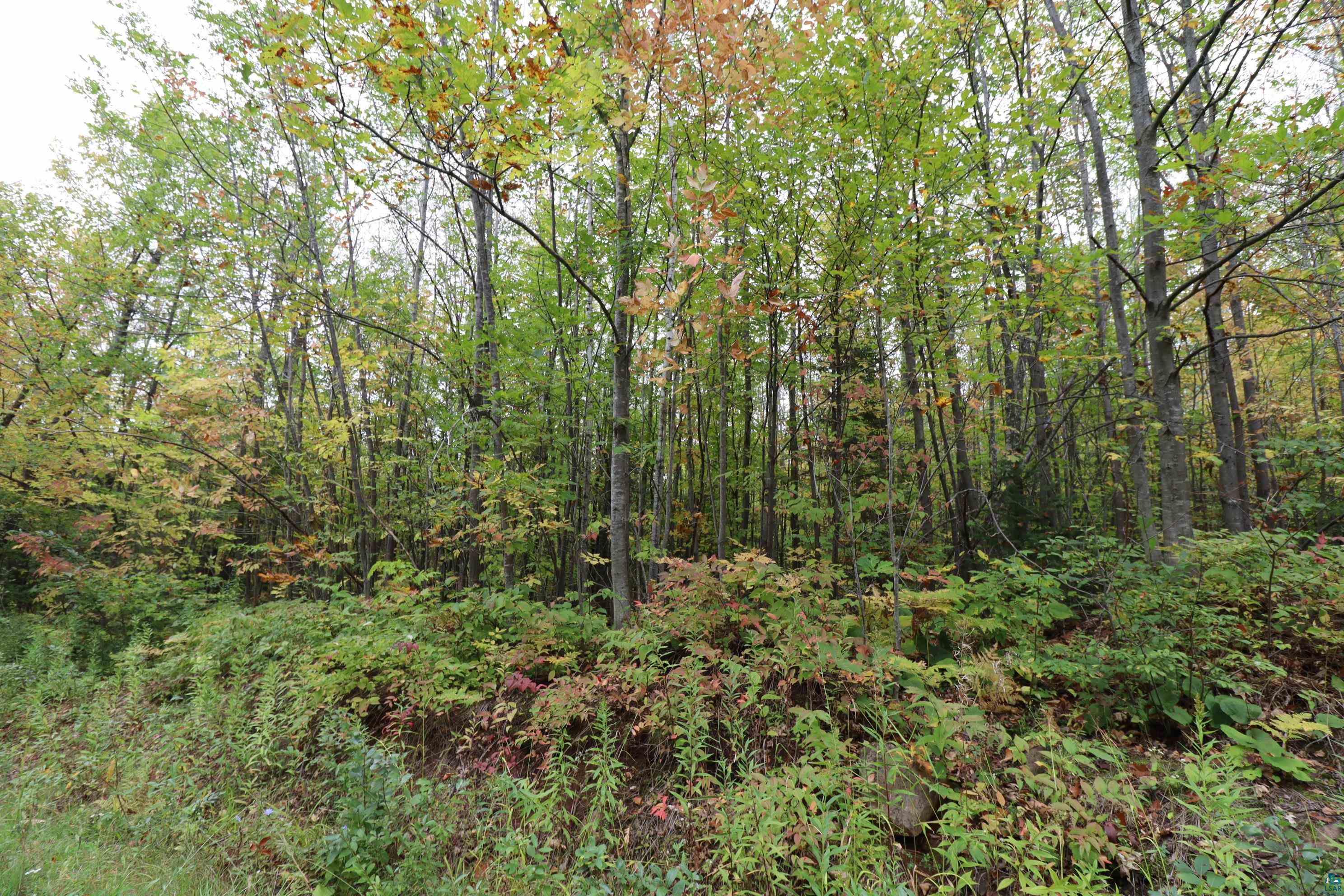 90-xxx Holt Road Bayfield, WI 54814 - Photo 7 of 9 Gallery Image 7