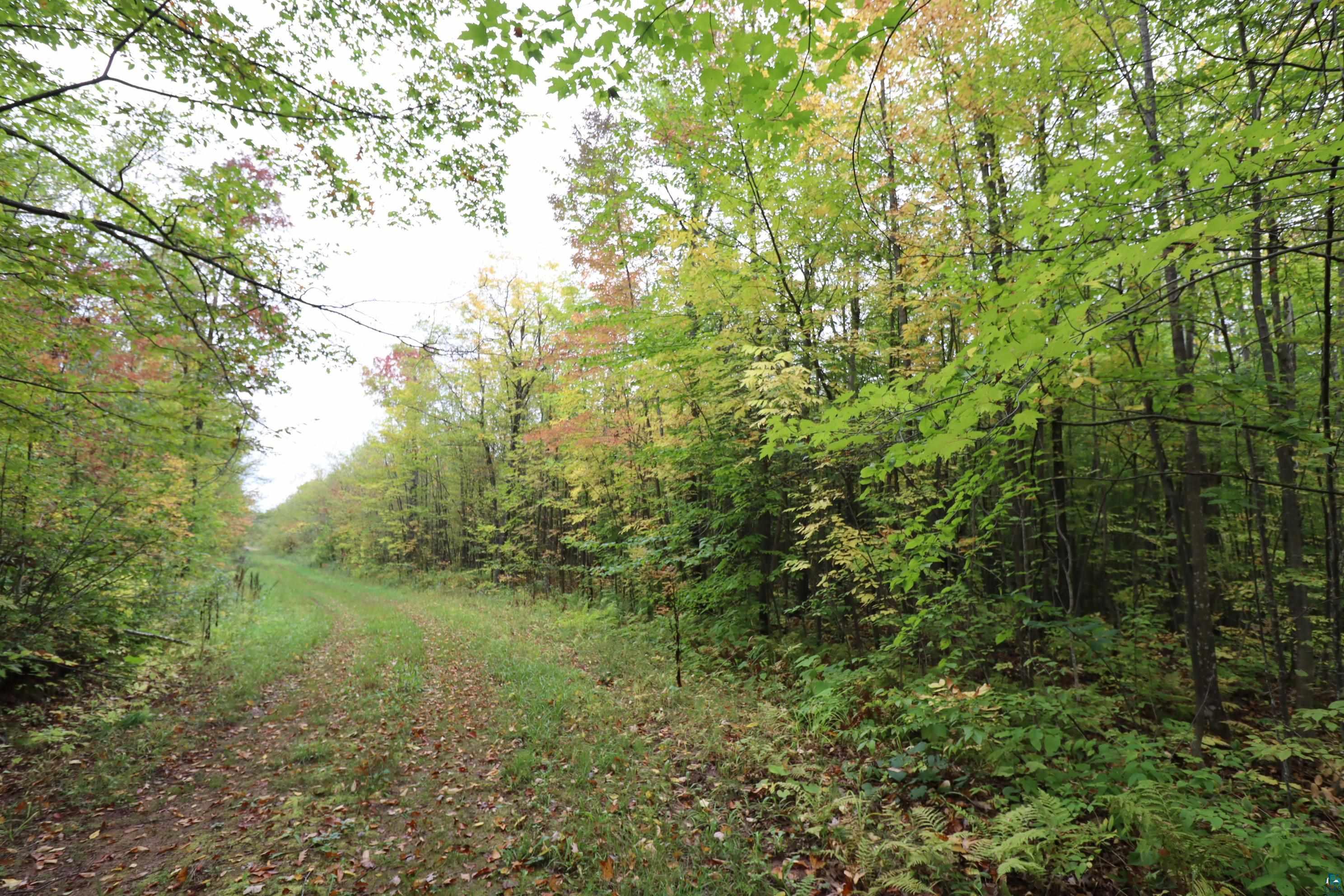 90-xxx Holt Road Bayfield, WI 54814 - Photo 8 of 9 Gallery Image 8