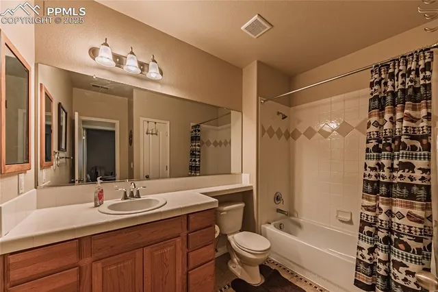a bathroom with a sink a toilet a mirror a vanity a bathtub and shower