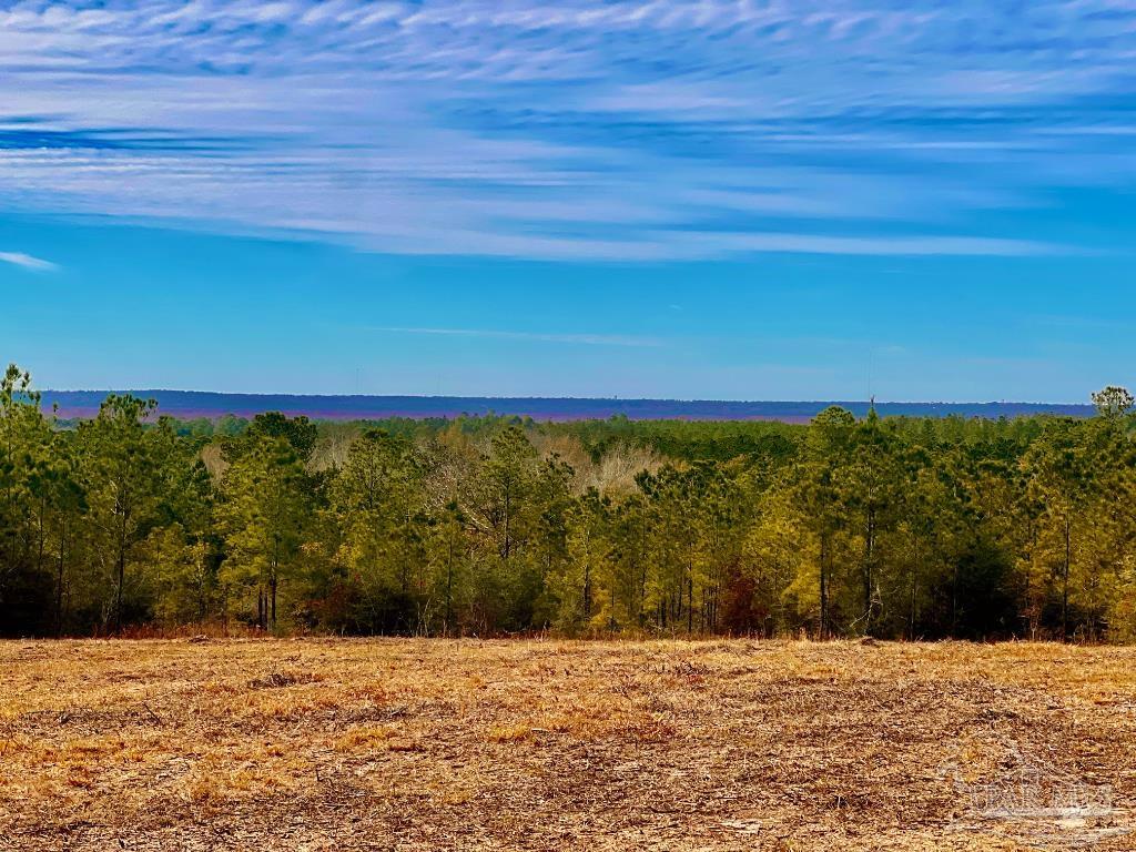 Lot 13-br Buffalo Ridge Road Pace, FL 32571 - Photo 12 of 20 a view of an ocean beach