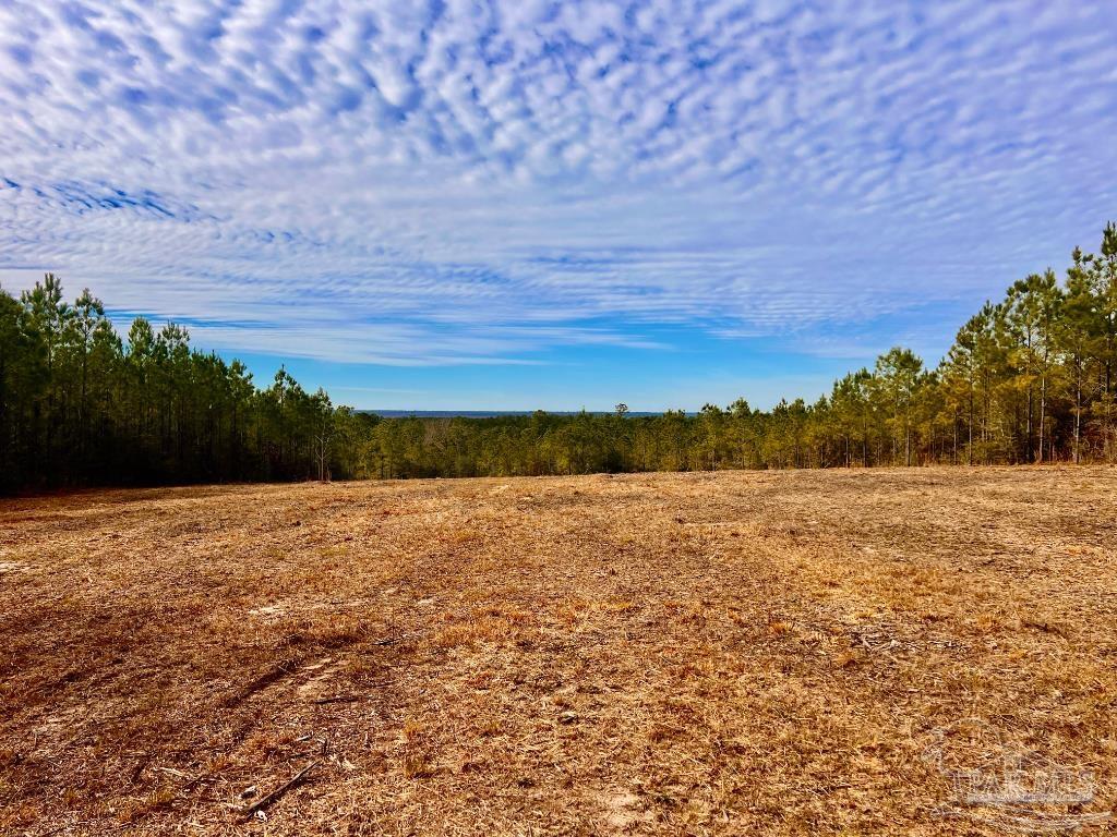 Lot 13-br Buffalo Ridge Road Pace, FL 32571 - Photo 13 of 20 a view of lake