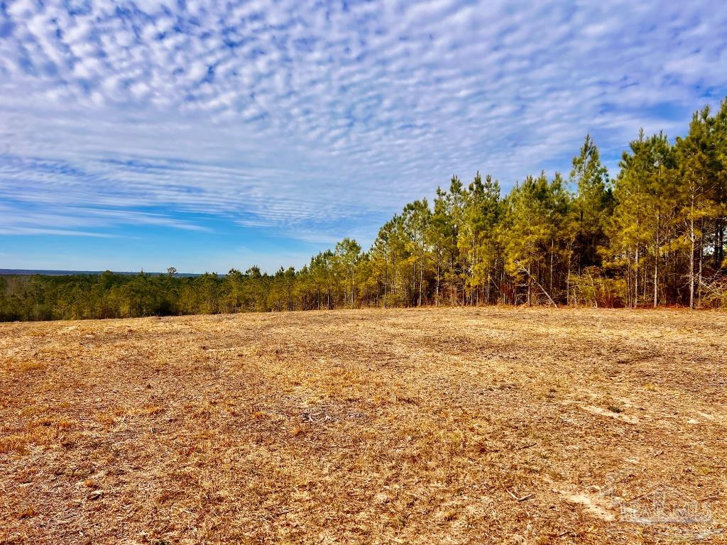 Lot 13-br Buffalo Ridge Road Pace, FL 32571 - Photo 14 of 20