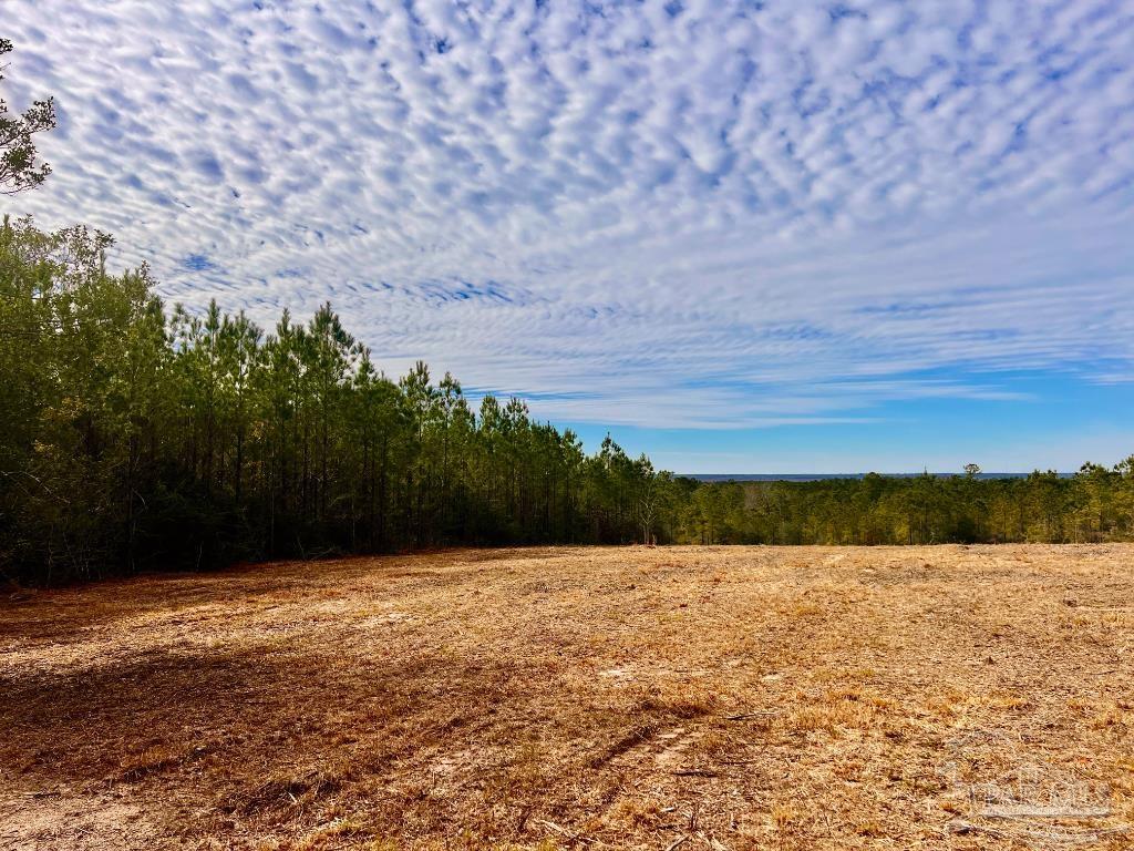 Lot 13-br Buffalo Ridge Road Pace, FL 32571 - Photo 15 of 20 a view of outside space with mountain in the background