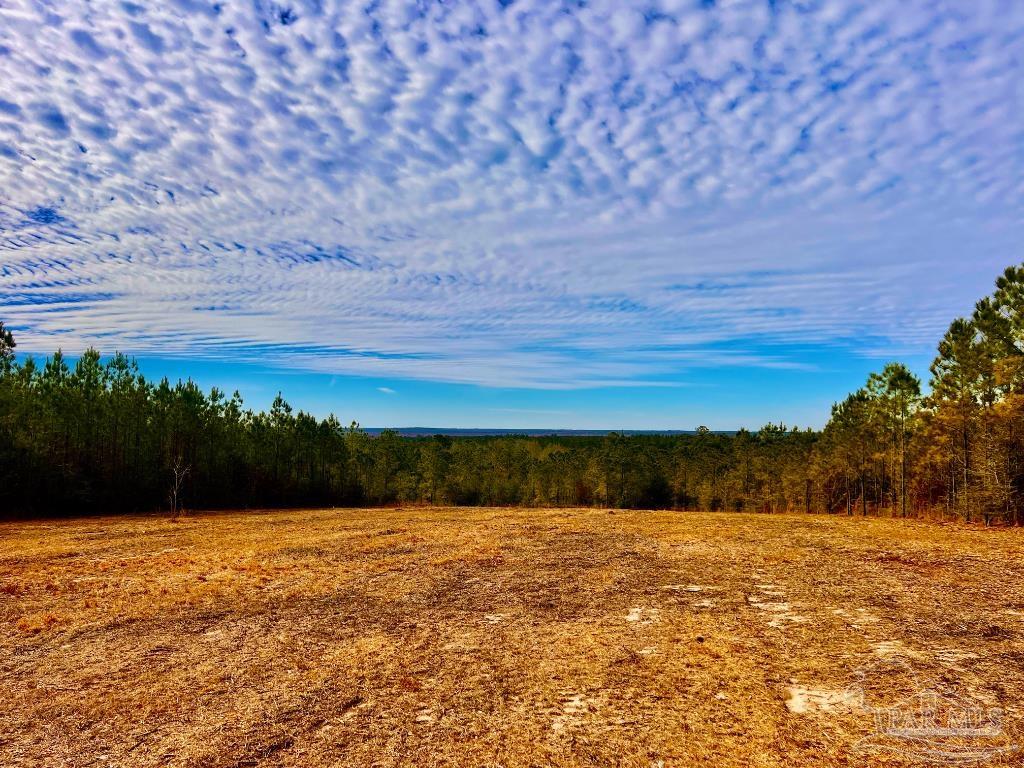 Lot 13-br Buffalo Ridge Road Pace, FL 32571 - Photo 16 of 20 a view of lake view and mountain view