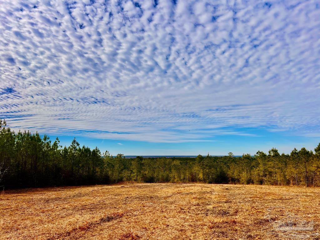 Lot 13-br Buffalo Ridge Road Pace, FL 32571 - Photo 18 of 20 a view of lake view and mountain view