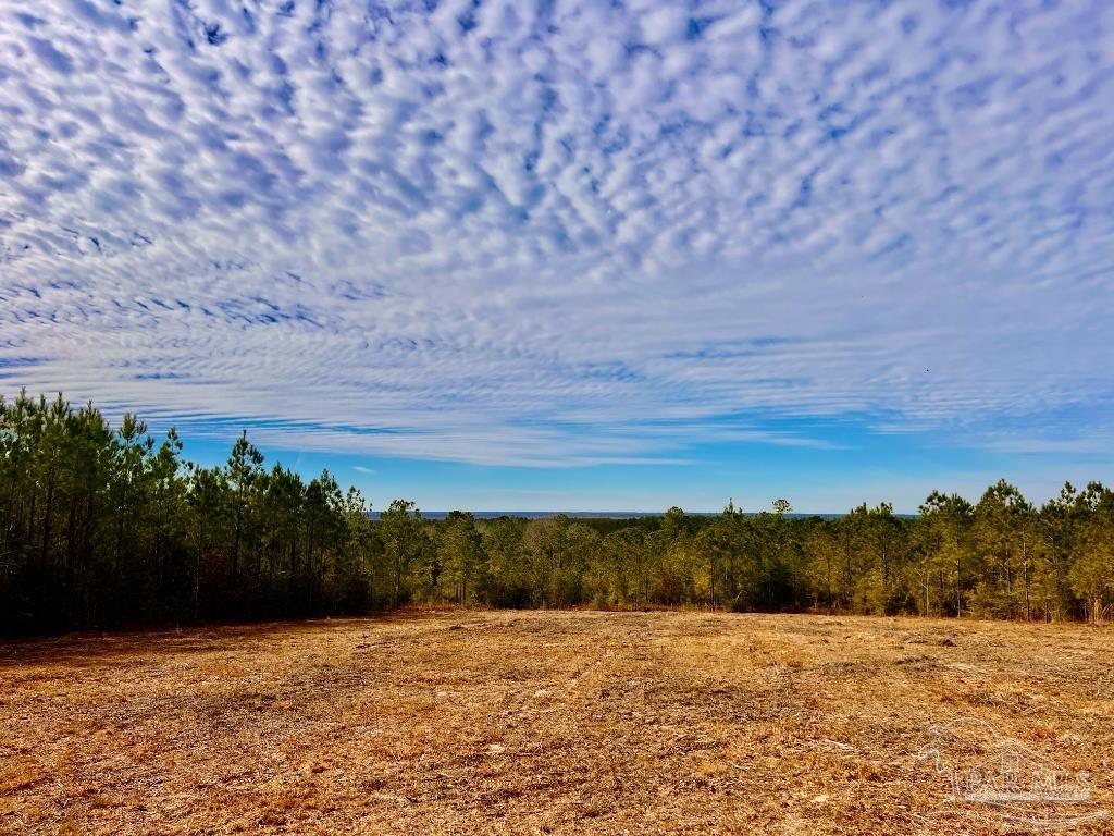 Lot 13-br Buffalo Ridge Road Pace, FL 32571 - Photo 19 of 20 a view of mountain with sunset