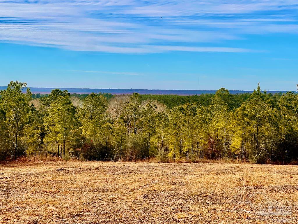 Lot 13-br Buffalo Ridge Road Pace, FL 32571 - Photo 4 of 20 a view of ocean