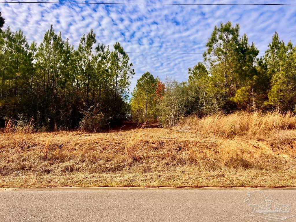 Lot 13-br Buffalo Ridge Road Pace, FL 32571 - Photo 5 of 20 a view of a yard covered with snow in front of house