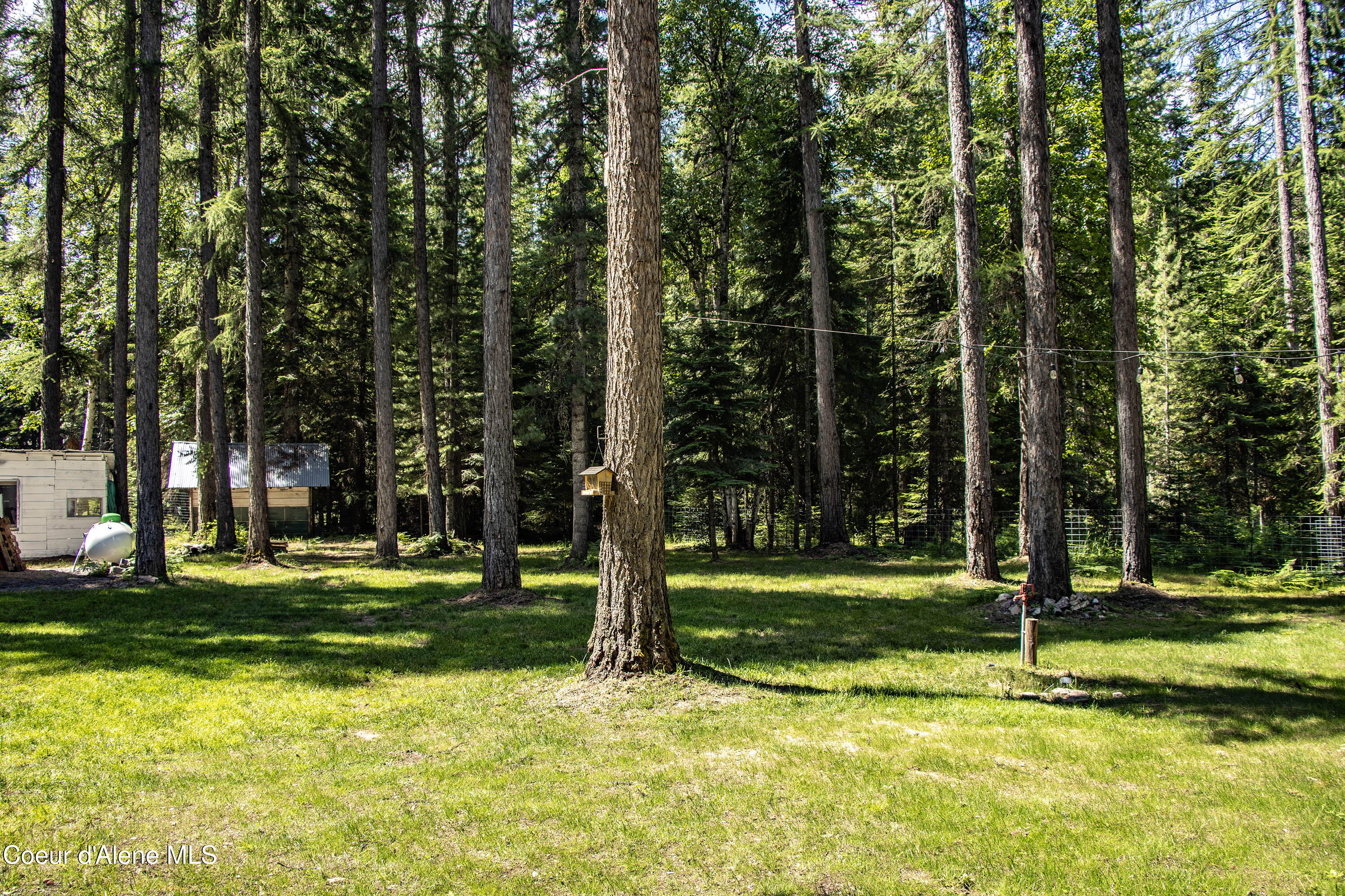 475 Dry Creek Road Clark Fork, ID 83811 - Photo 31 of 53 Backyard