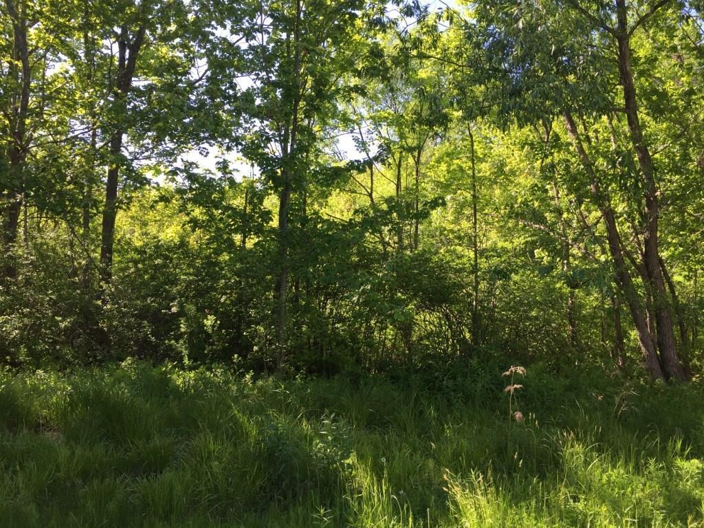 558 Ridge Road Bowdoinham, ME 04008 - Photo 3 of 10 Photo