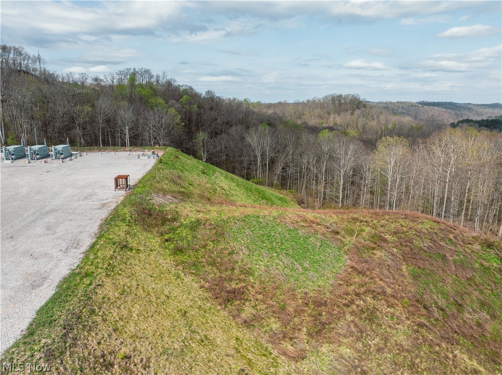 East Captina Highway Road Alledonia, OH 43902 - Photo 8 of 12
