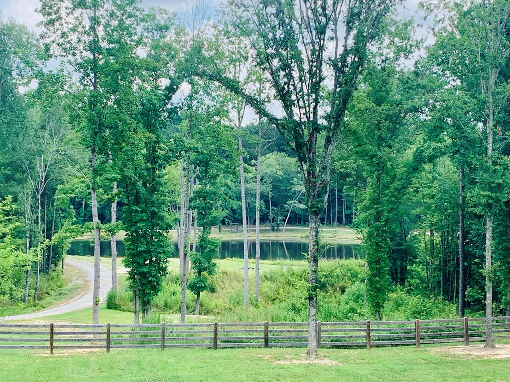 220 Hill Road Abbeville, SC 29620 - Photo 44 of 62 Gallery Image 44