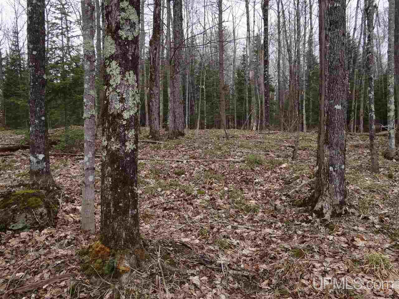 Tbd Dogpatch Road, Unit LOT I Lanse, MI 49946 - Photo 15 of 25
