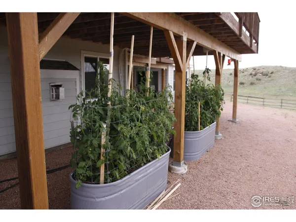 a view of a backyard with garden