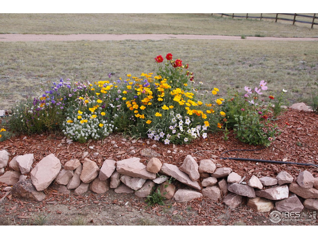 631 Linecamp Drive Livermore, CO 80536 - Photo 38 of 41 a view of lake