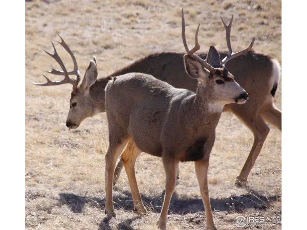 a view of a balcony with outside space