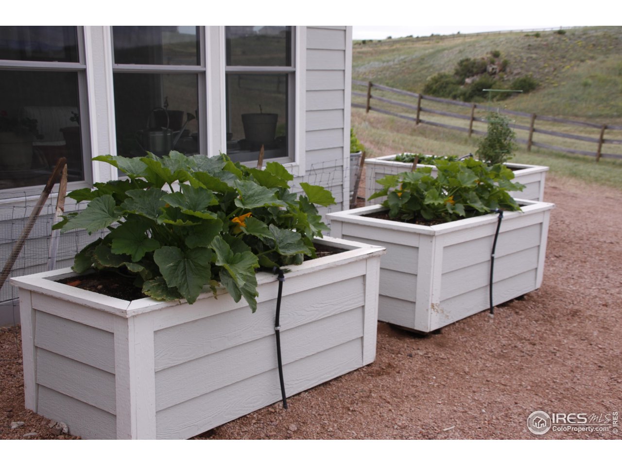 631 Linecamp Drive Livermore, CO 80536 - Photo 41 of 41 a view of a house with a flower garden