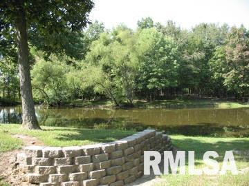 3344 South Hotze Road Salem, IL 62881 - Photo 3 of 12
