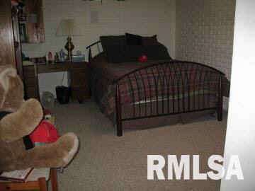 3344 South Hotze Road Salem, IL 62881 - Photo 10 of 12