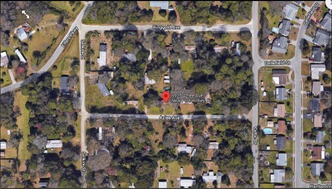 6927 Azlee Avenue New Port Richey, FL 34655 - Photo 3 of 8