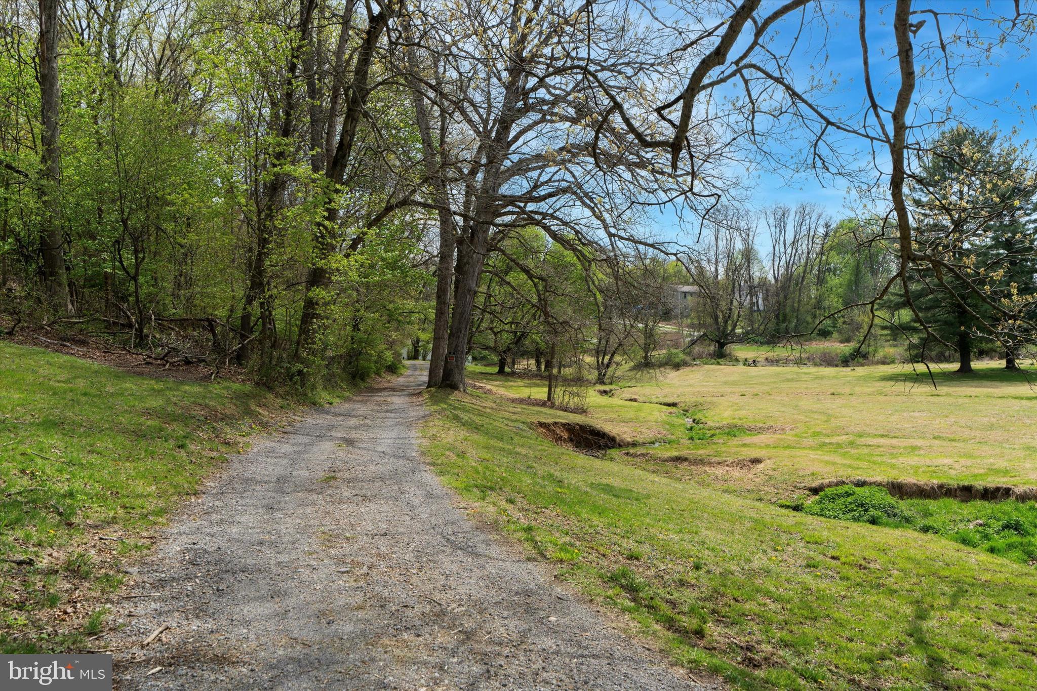 26 Rokeby Road Coatesville, PA 19320 - Photo 5 of 25 a view of a yard with a tree