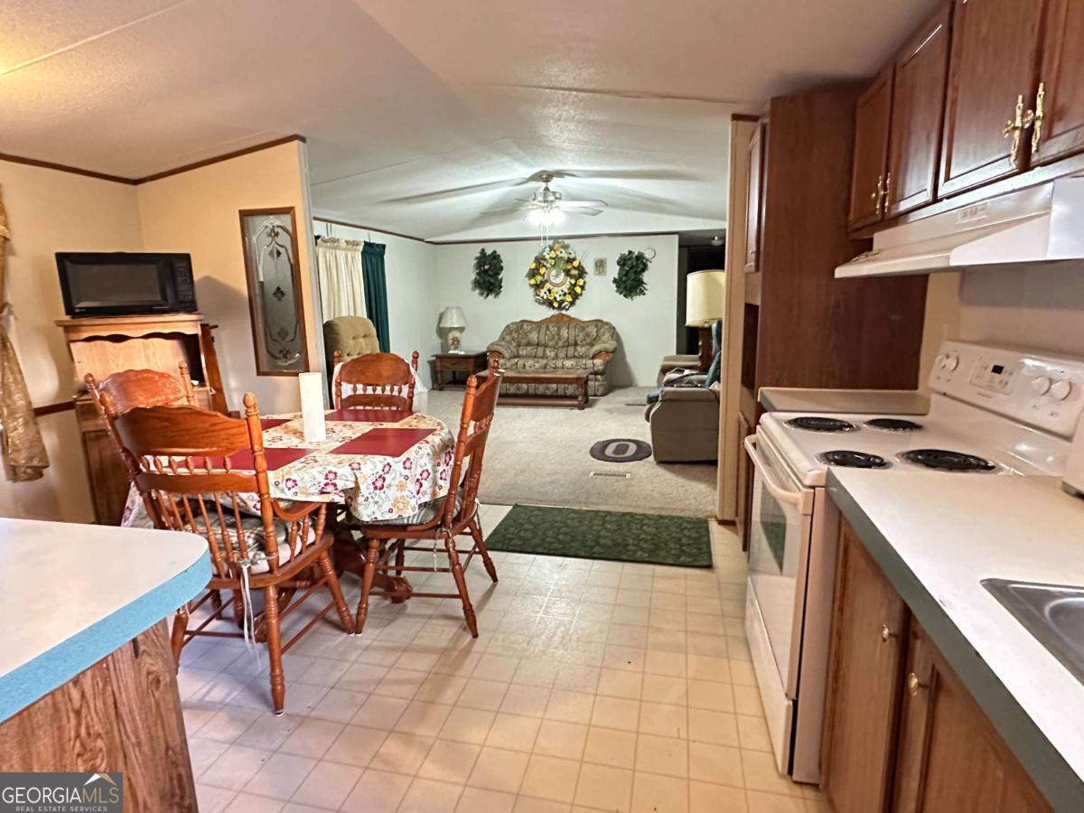 2757 Ben Carter Road Baxley, GA 31513 - Photo 4 of 11