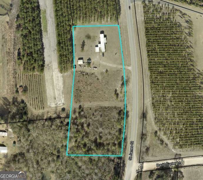 2757 Ben Carter Road Baxley, GA 31513 - Photo 9 of 11