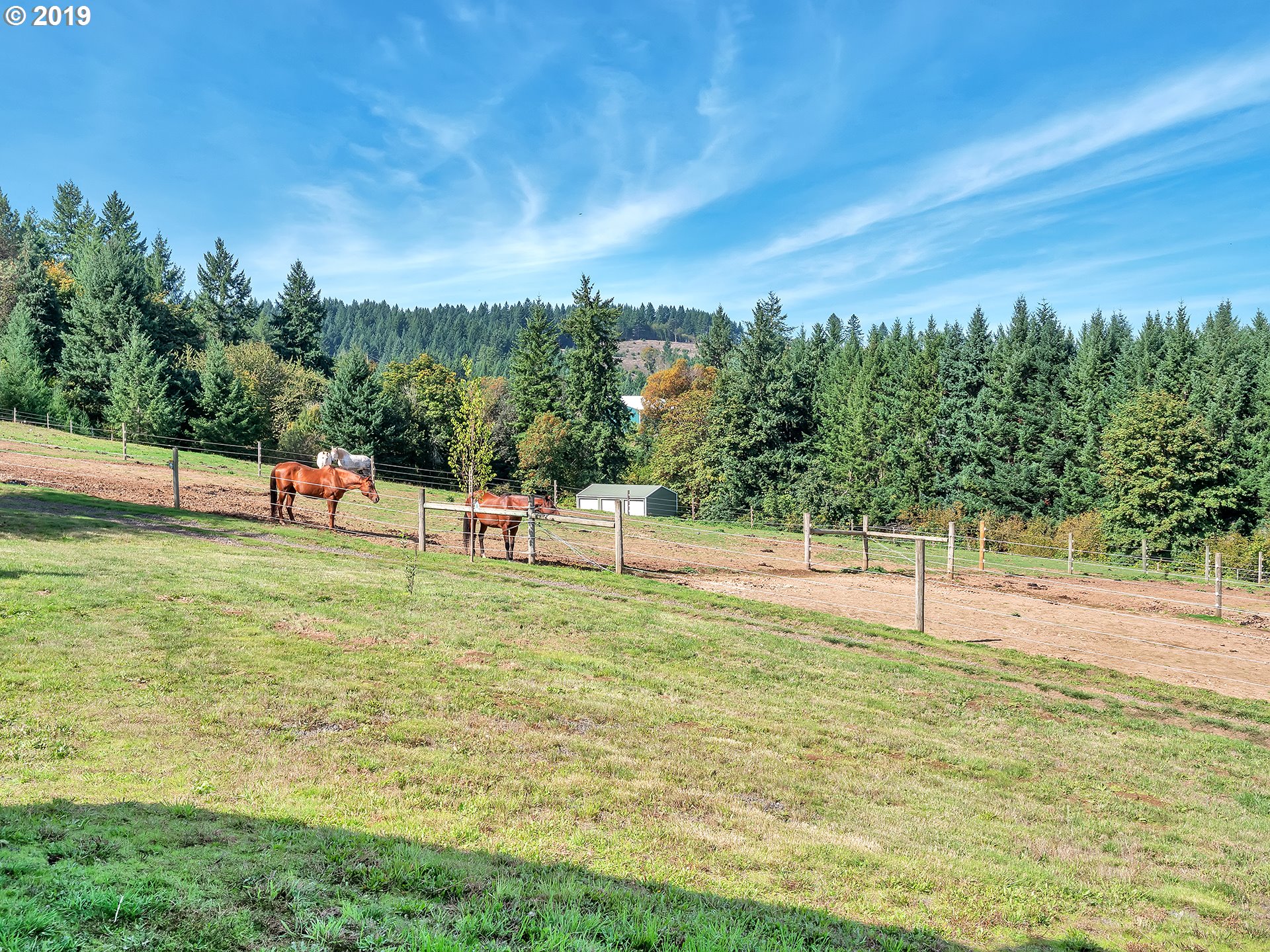 7447 Southwest Hergert Road Cornelius, OR 97113 - Photo 32 of 32