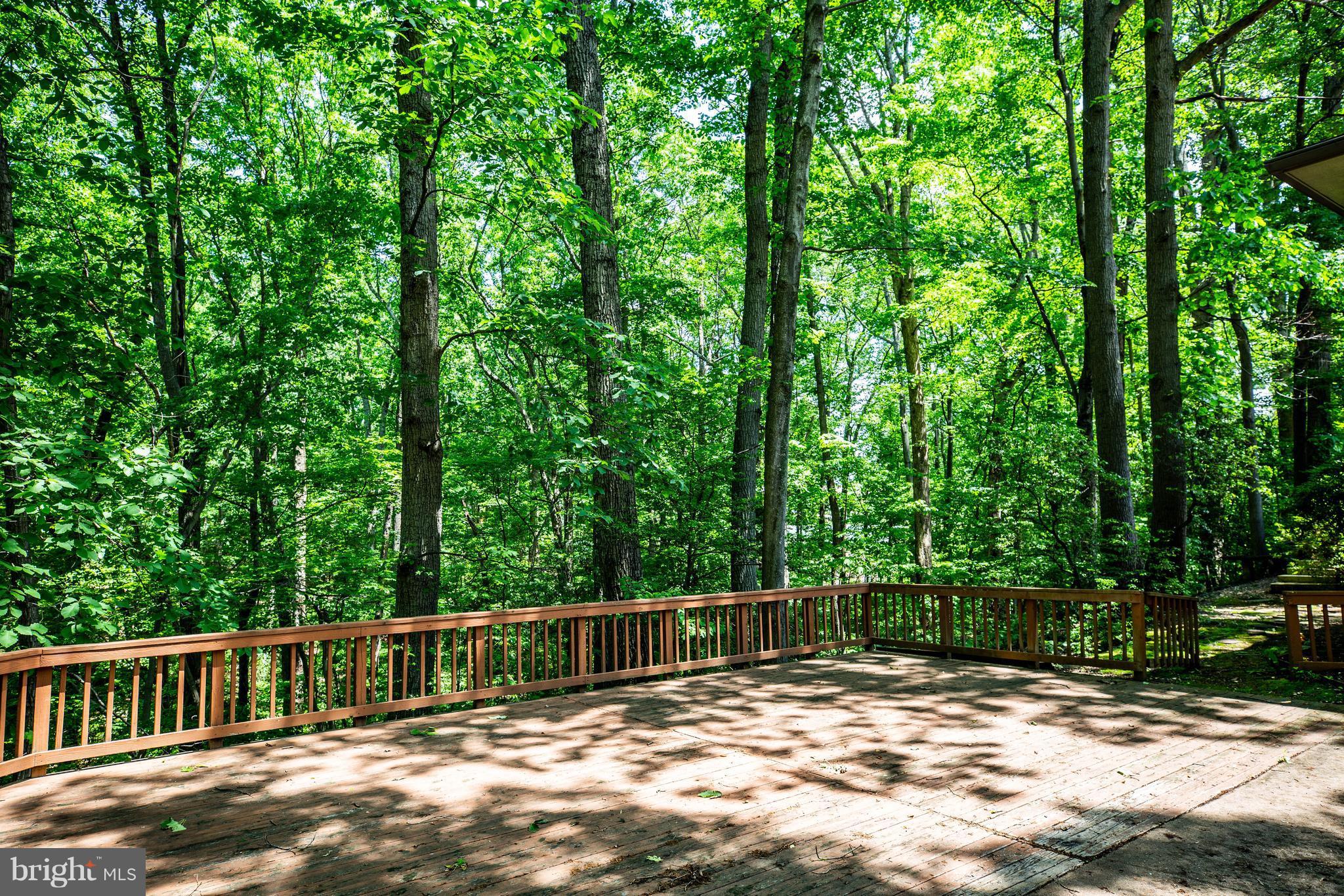 2 Ridgemore Circle Fredericksburg, VA 22405 - Photo 27 of 28 View