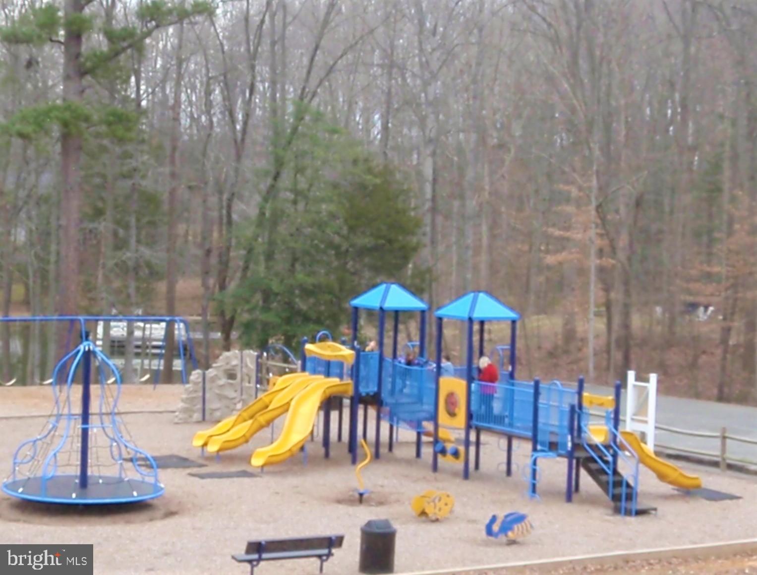 100 Surrey Drive Ruther Glen, VA 22546 - Photo 53 of 54 Land'Or Playground.