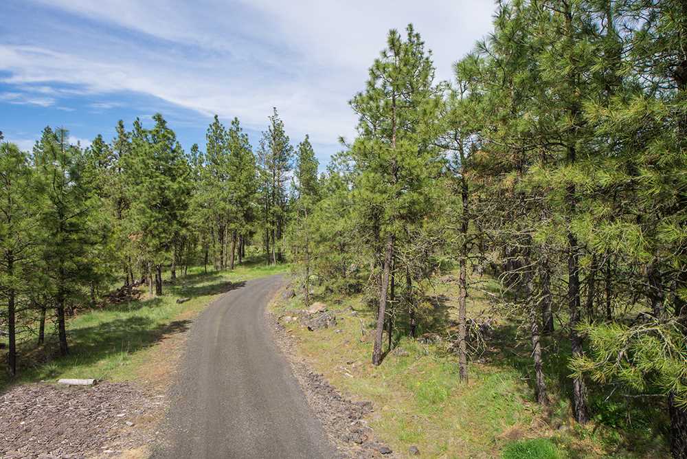 19430 South Malloy Prairie Road Cheney, WA 99004 - Photo 14 of 19