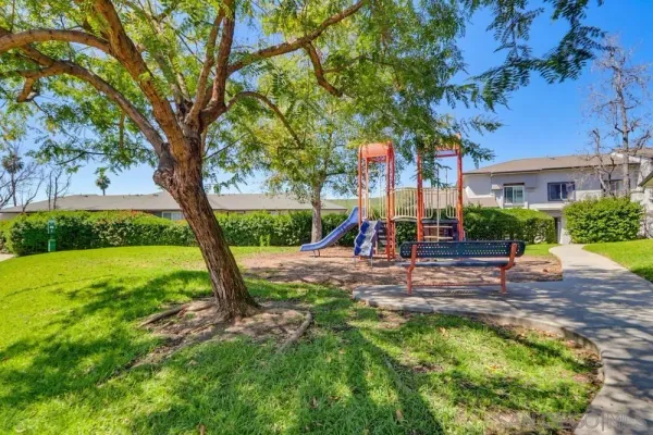 a view of a yard with a tree