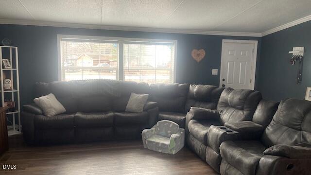 1959 Horseshoe Bend Road Erwin, NC 28339 - Photo 4 of 23 a living room with furniture and a large window
