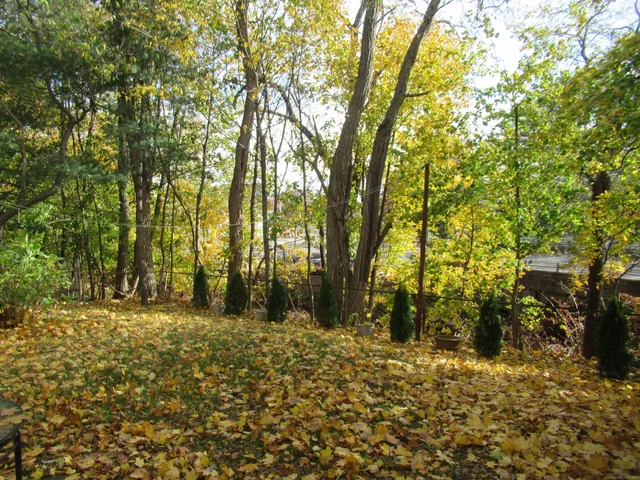 a view of outdoor space with trees