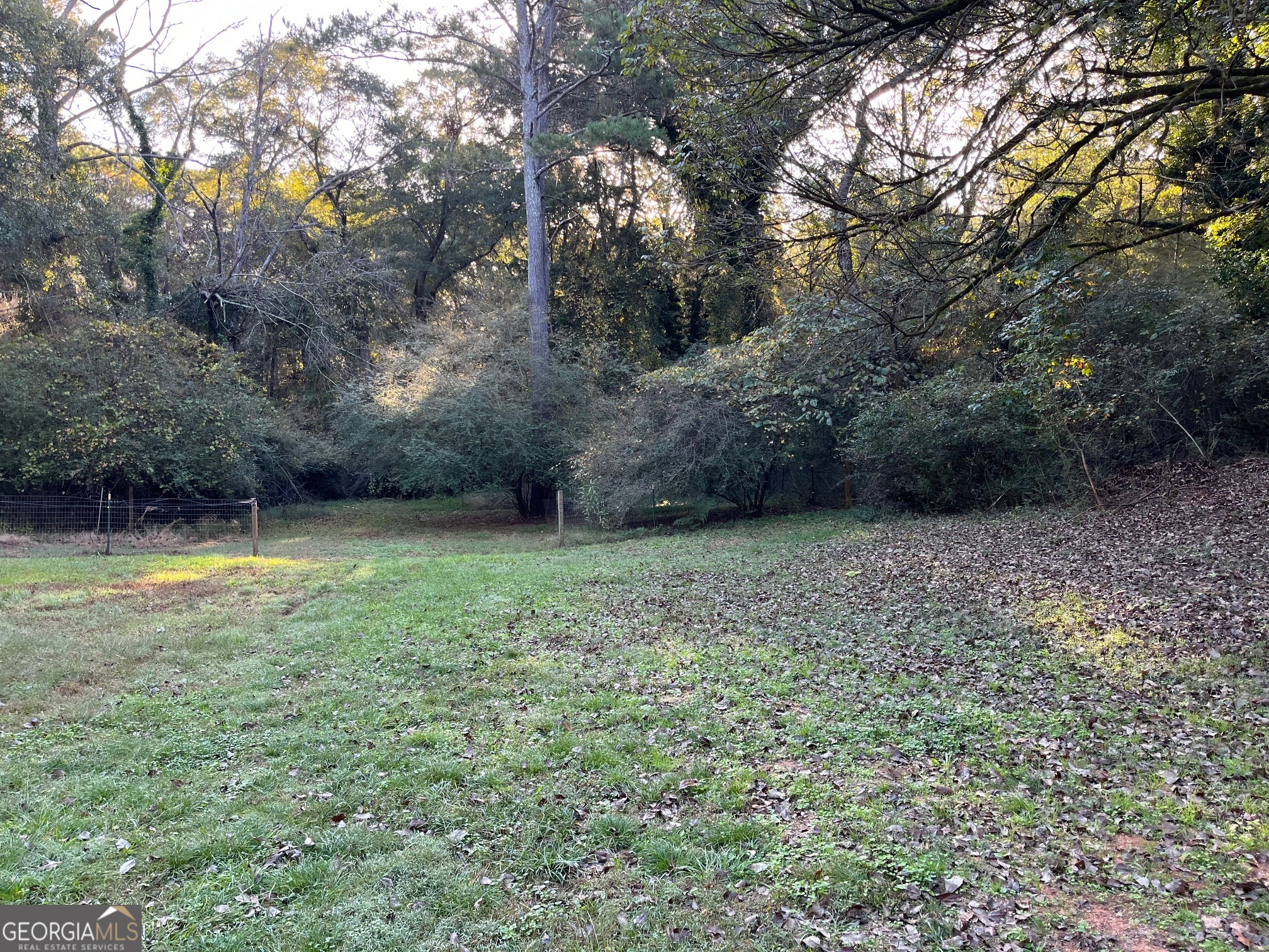 200 Cheatham Drive Athens, GA 30606 - Photo 30 of 36 a view of a yard with a tree