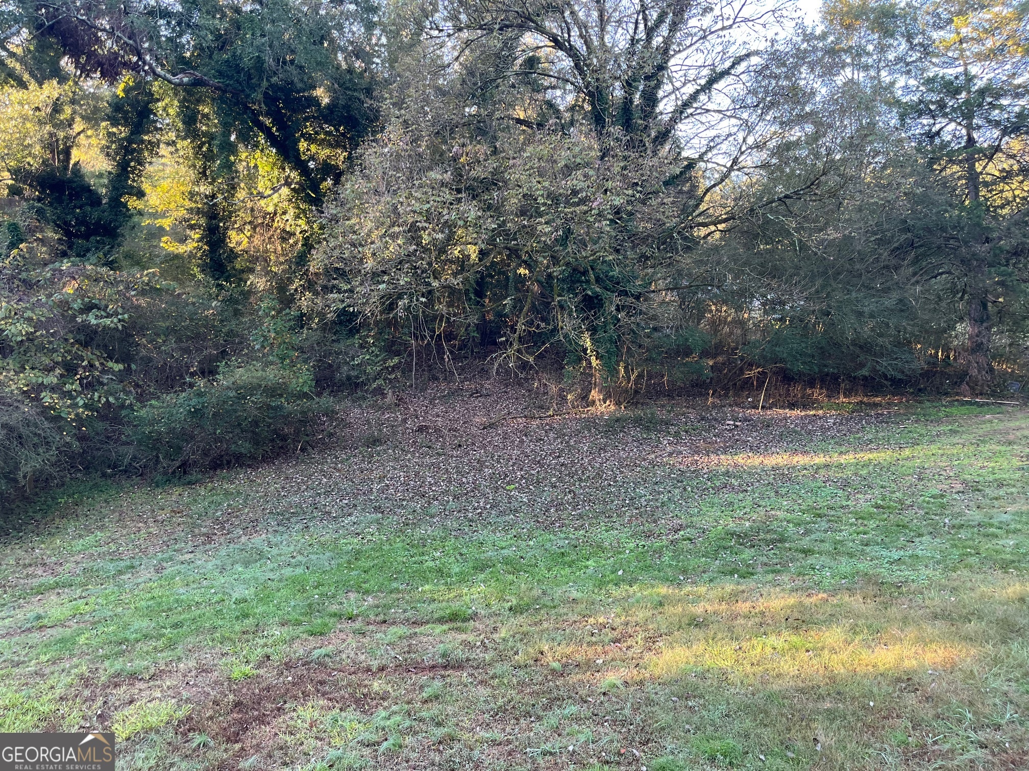200 Cheatham Drive Athens, GA 30606 - Photo 32 of 36 a backyard of a house with lots of green space