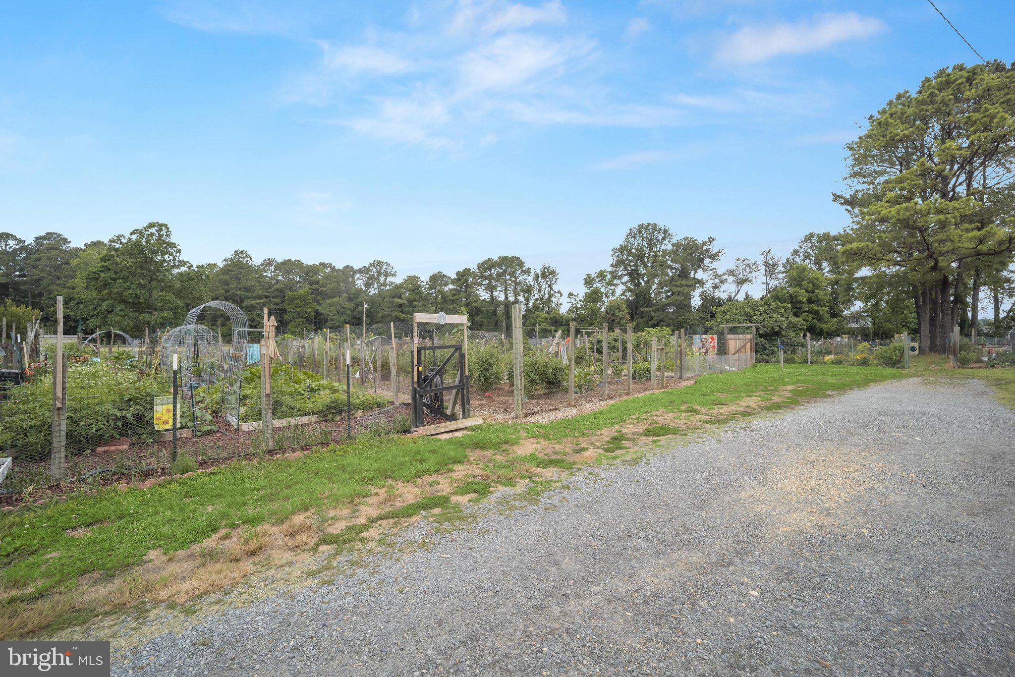 12465 Hisperia Road Lusby, MD 20657 - Photo 17 of 26 Community Gardens