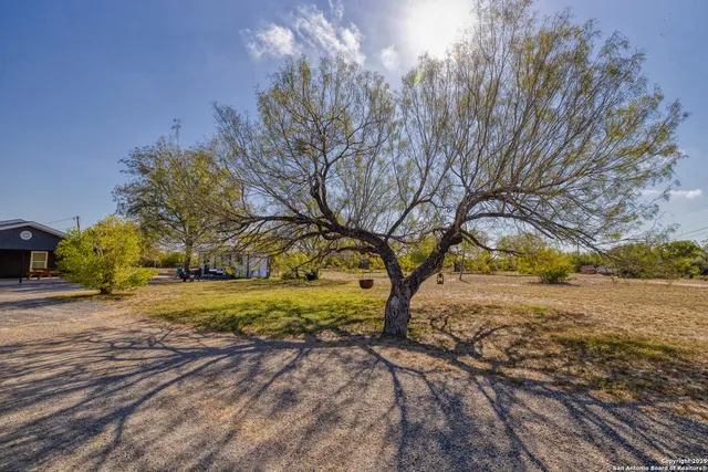 a view of a yard with large trees
