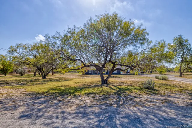 a view of yard with trees
