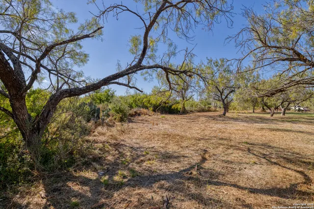 a view of a yard with an tree