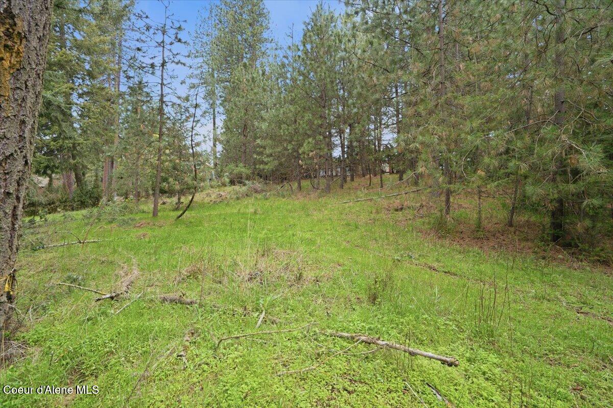 Nna North Chalet Road Hayden, ID 83835 - Photo 12 of 26 10-Chalet Rd