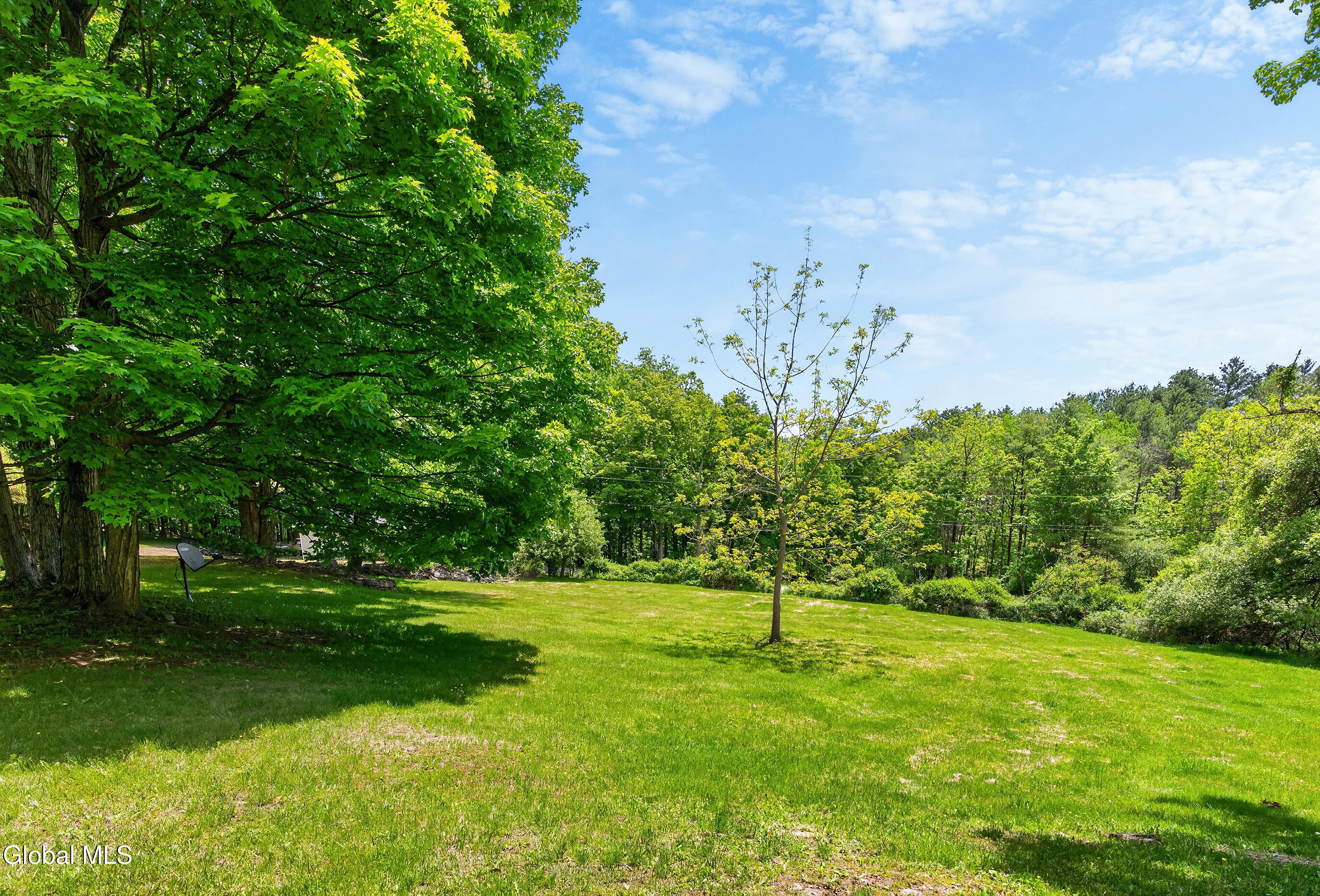 359 Seibert Road Rensselaerville, NY 12120 - Photo 42 of 67 009-359-Seibert-Road-Medusa-NY-12120