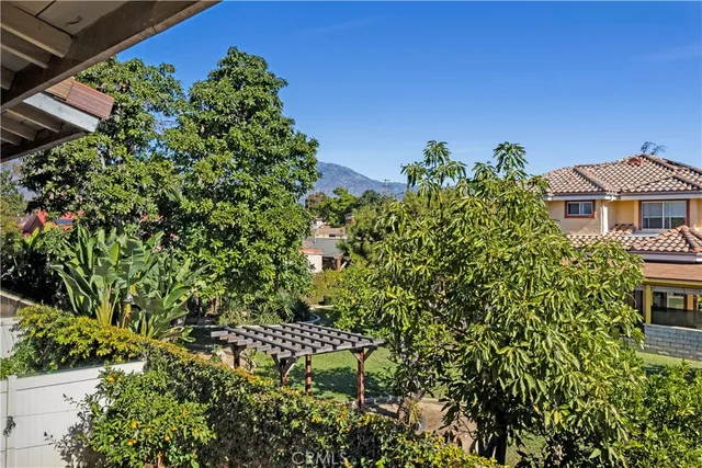 a view of a garden with a bench